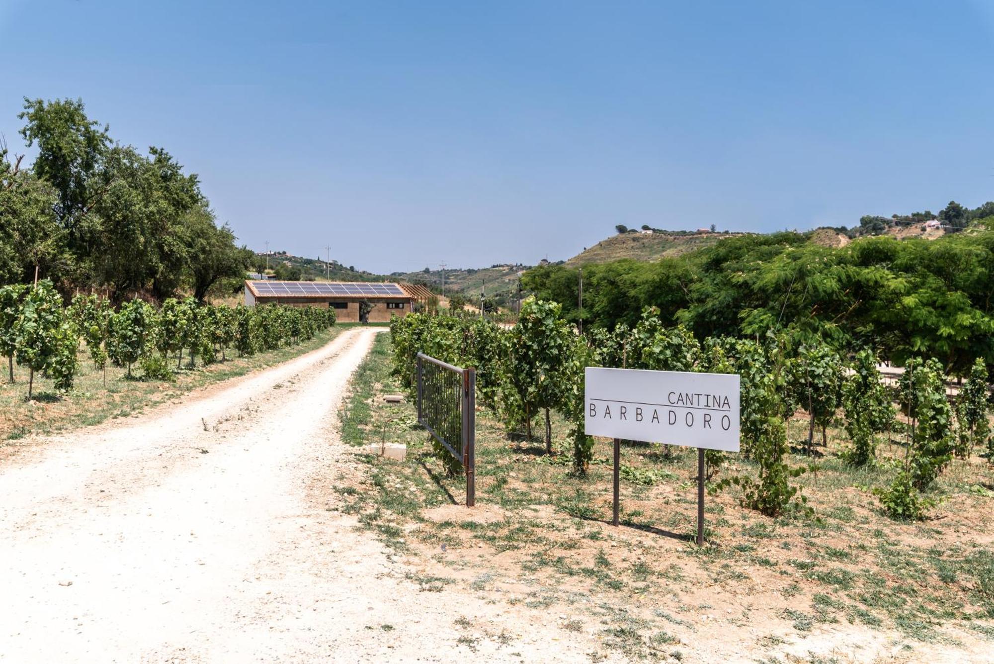Cottage Immerso Nel Vigneto Caltagirone Kültér fotó