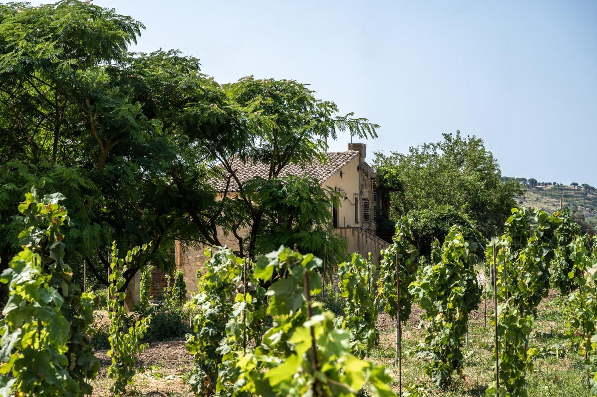 Cottage Immerso Nel Vigneto Caltagirone Kültér fotó